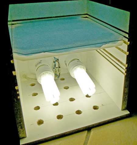 lichtkasten_lampen