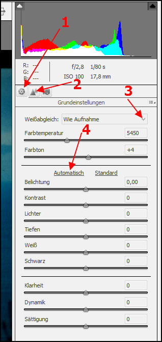 05 pse cameraraw_parameter