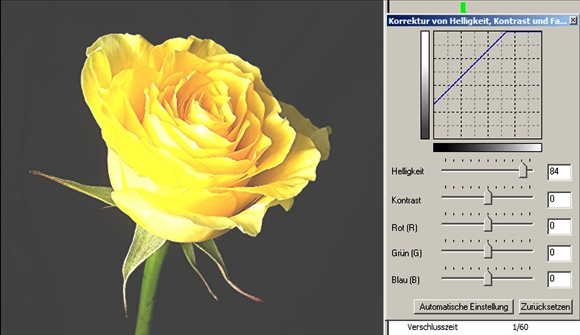 17 Rose Helligkeit auf helll-