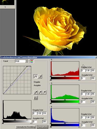 21 rose Histogramm RGB-Ausgleich-