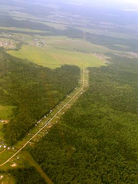 Wald